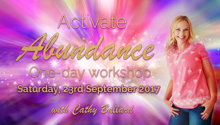 Activate Abundance 1-day Workshop